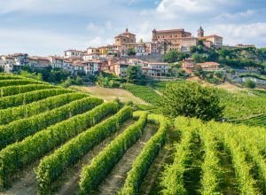 barolo